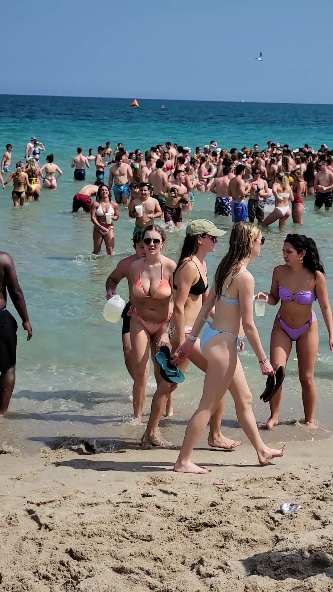 Spring Break Pass